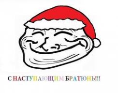 dima