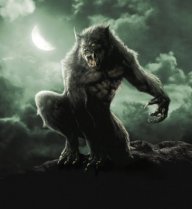 VeReWoLF